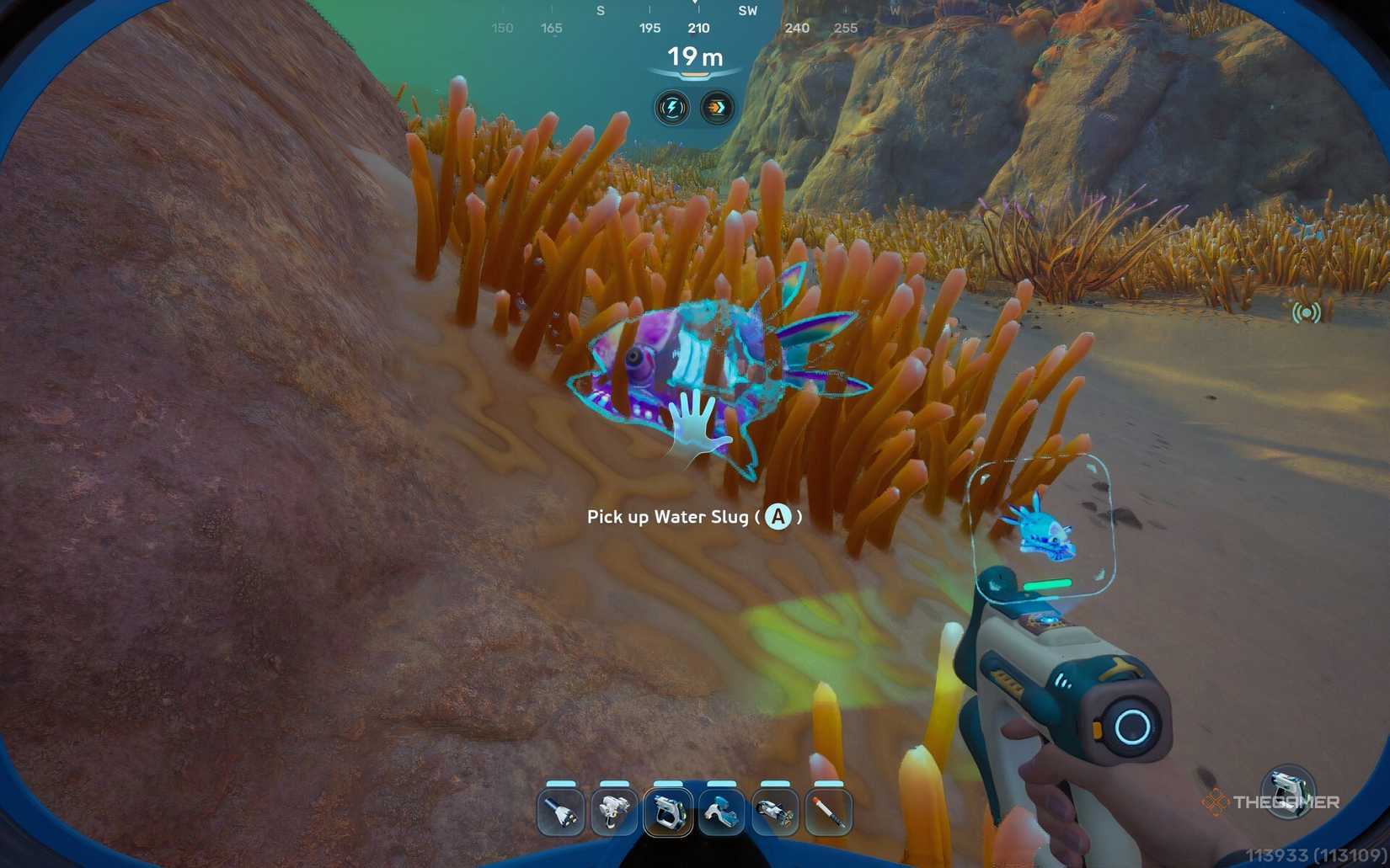 Water Slug in Subnautica 2.