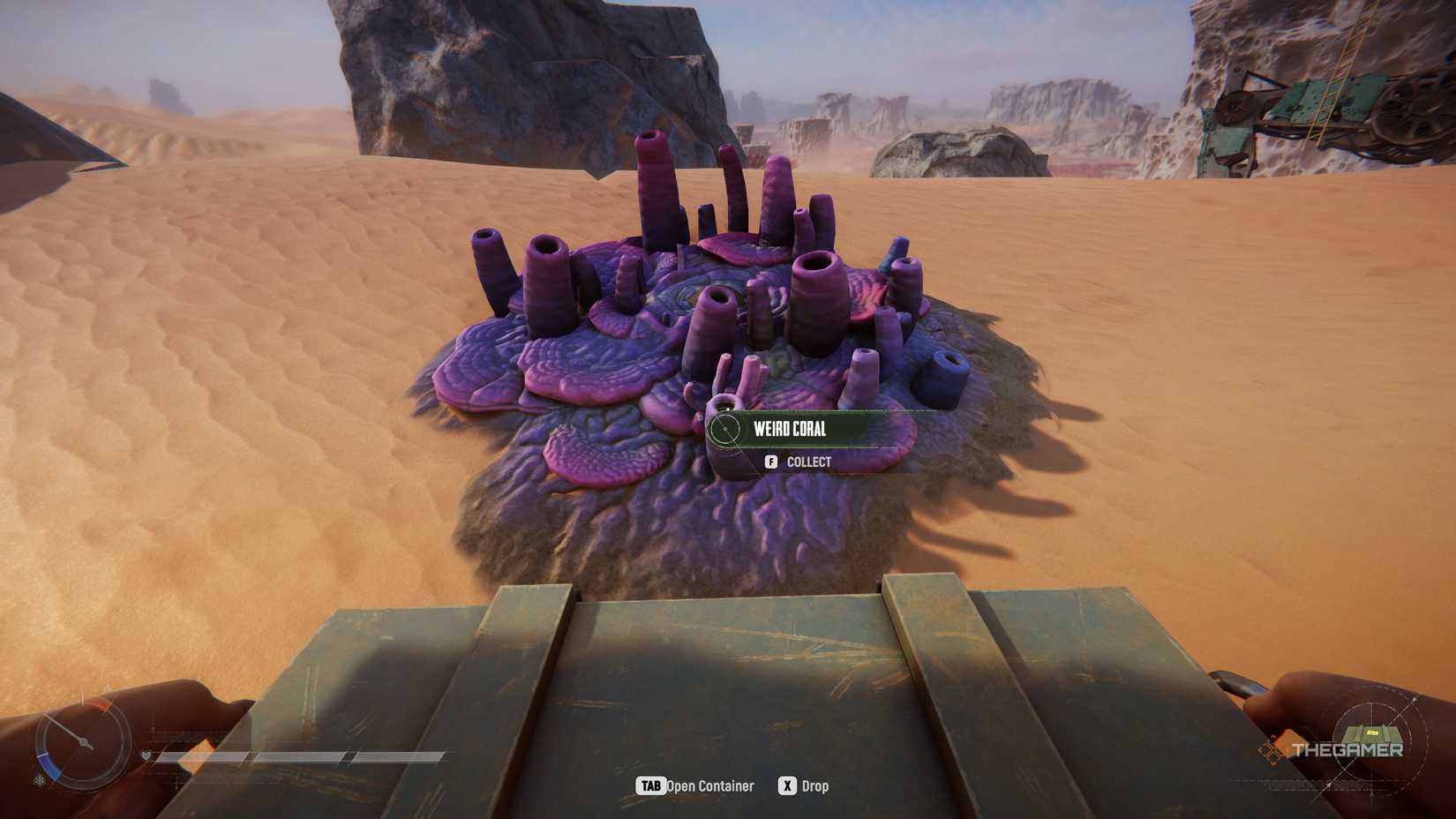 Player farming Weird Coral and Coral Chunks in Sand: Raiders of Sophie.