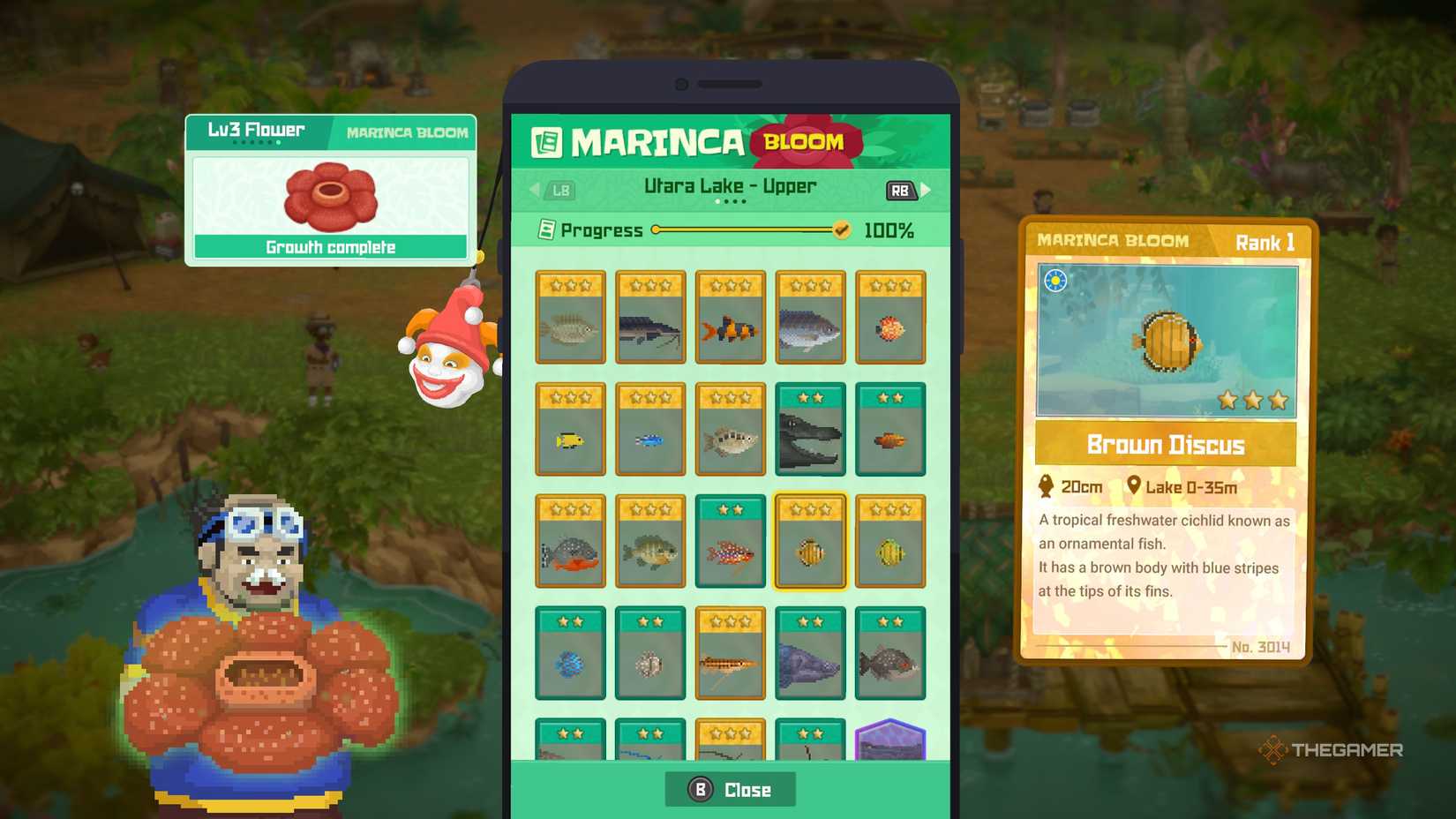 Where To Find All The Lake Fish In Dave The Diver: In The Jungle