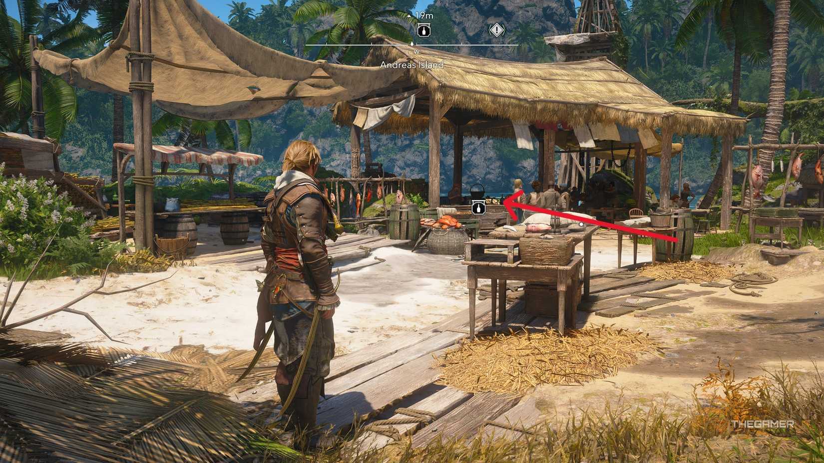 بازیکنی که همه چیزهای کلکسیونی را در جزیره آندریاس در Assassin's Creed: Black Flag Resynced پیدا می کند.