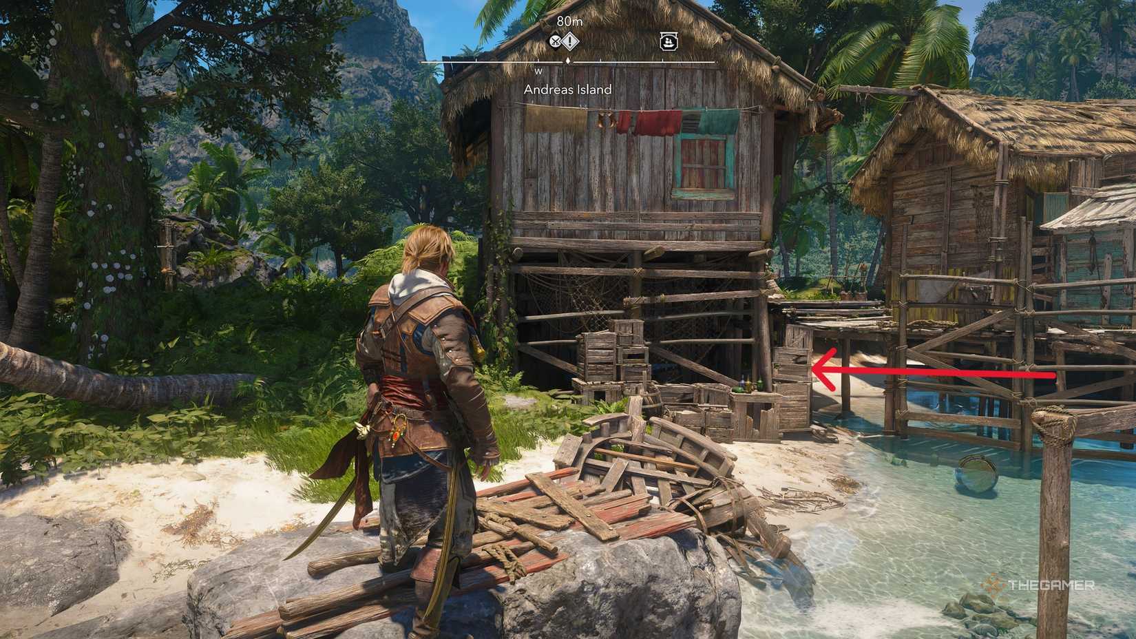 بازیکنی که همه چیزهای کلکسیونی را در جزیره آندریاس در Assassin's Creed: Black Flag Resynced پیدا می کند.