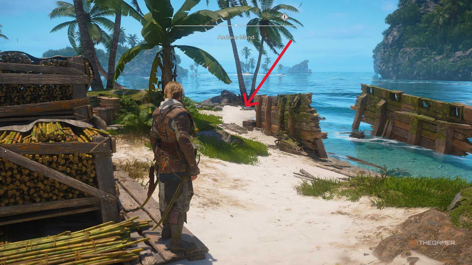 بازیکنی که همه چیزهای کلکسیونی را در جزیره آندریاس در Assassin's Creed: Black Flag Resynced پیدا می کند.