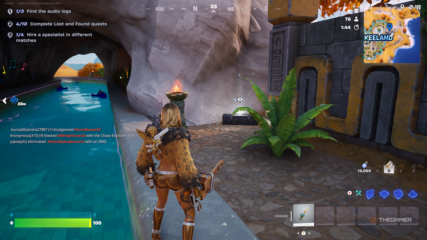 Fortnite by the river looking for a case.