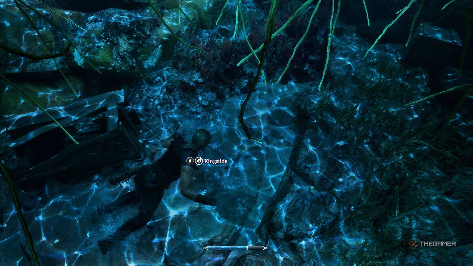 Gothic 1 Remake find Kingstide herb.
