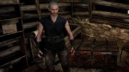 Gothic 1 Remake: A man with breasts.