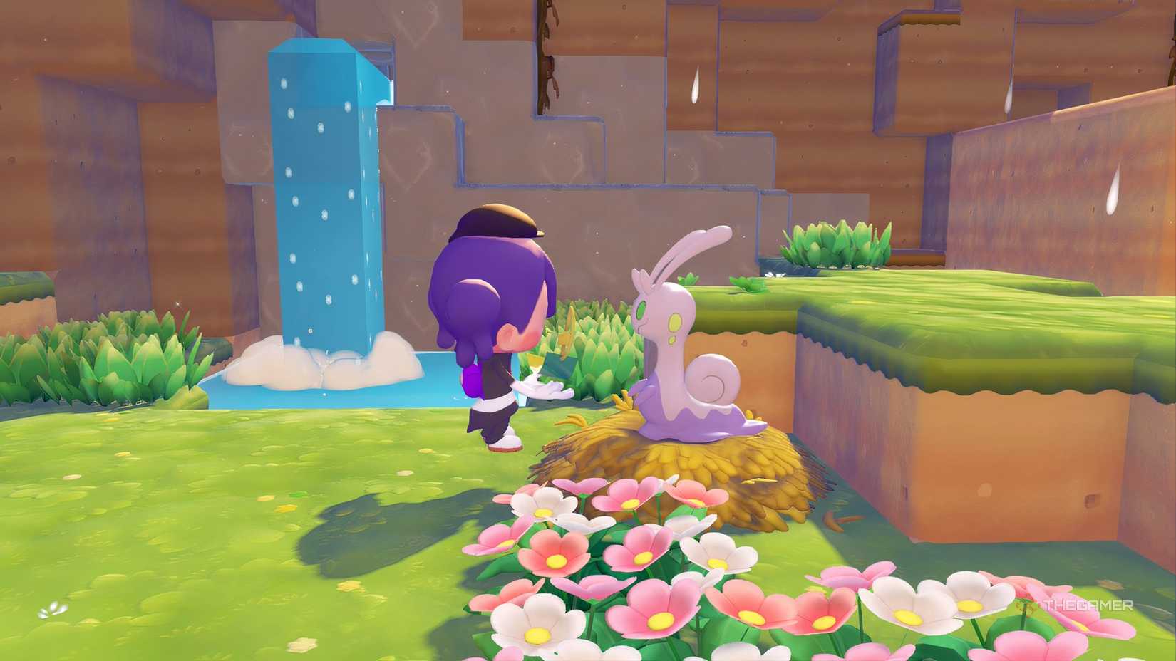 Ditt holds a sparkling wish in Pokemon Pokopia.