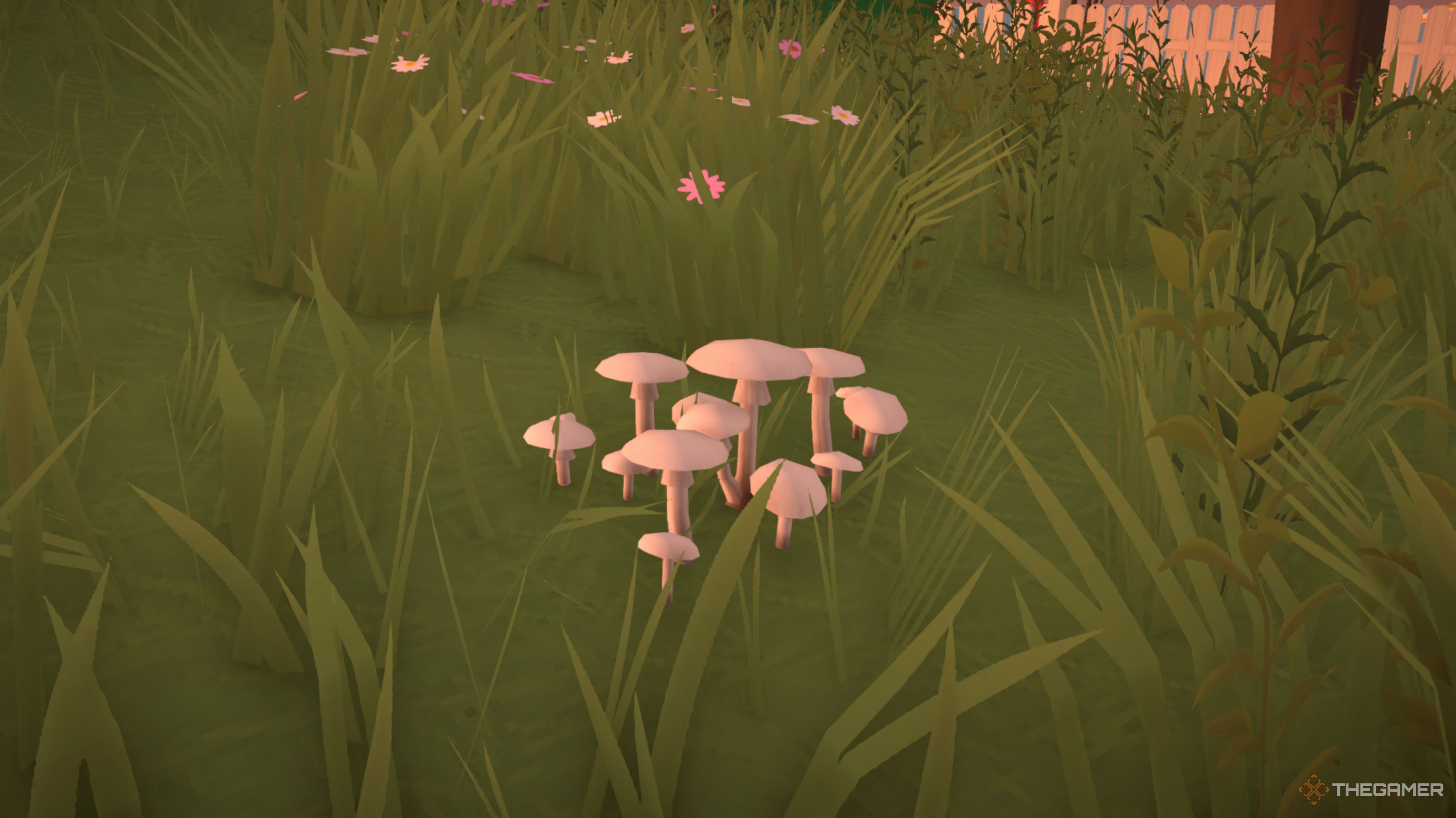 All Mushroom Types In Paralives