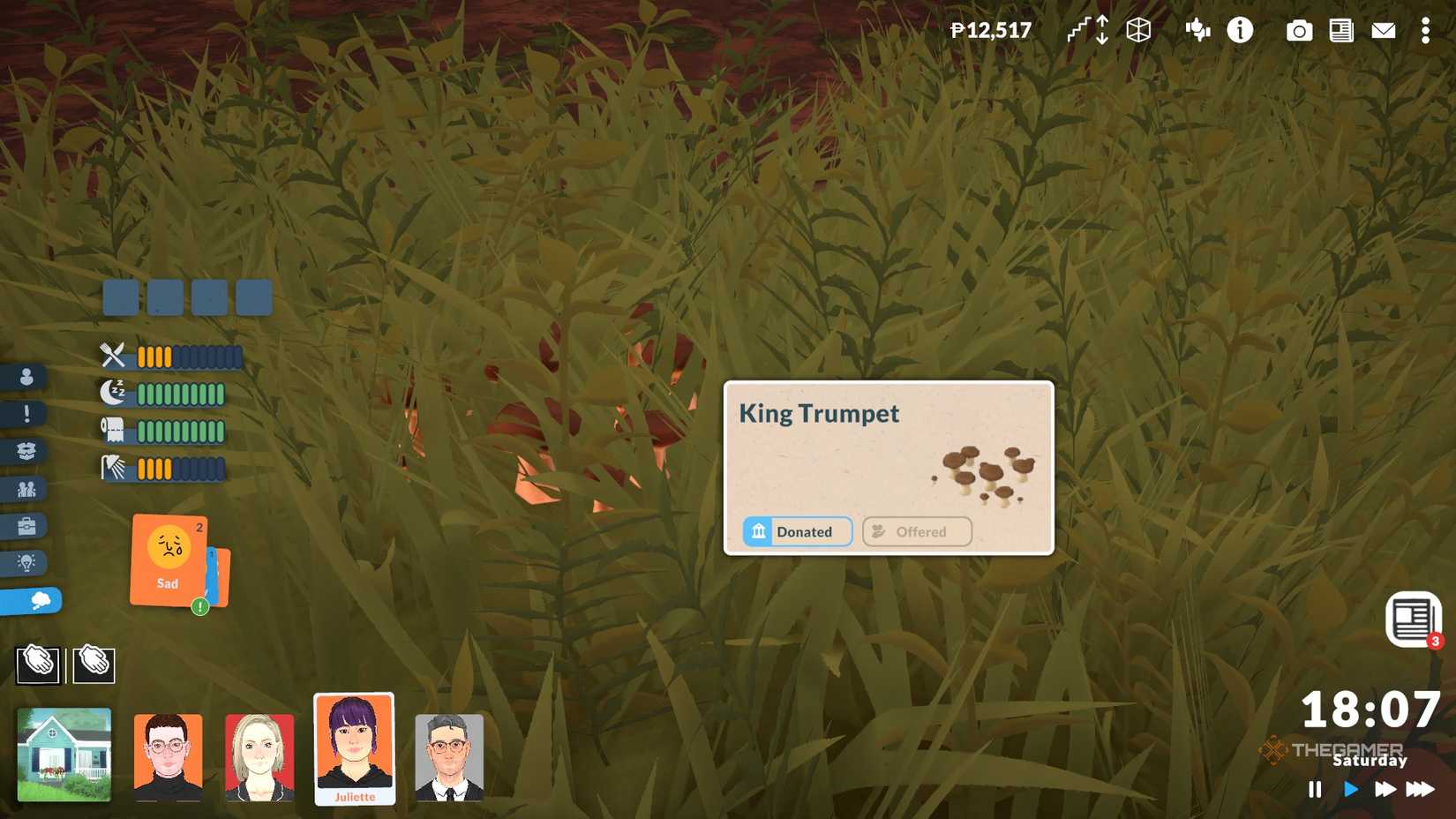 King trumpet mushroom in Paralives.