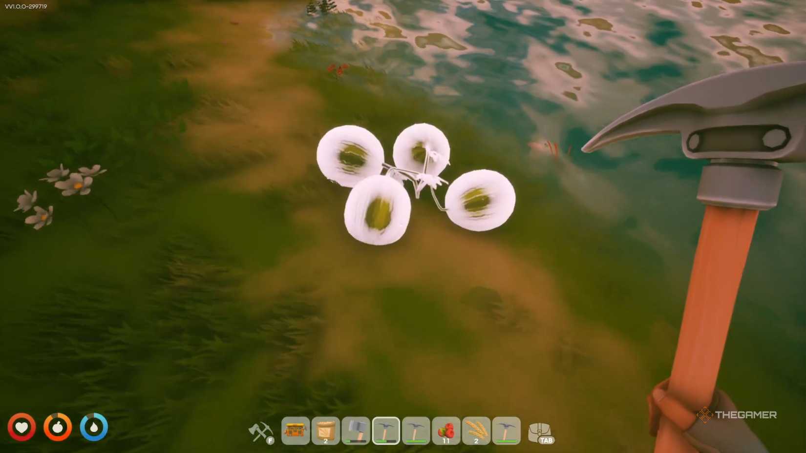Solarpunk looks at watermelon on the ground.