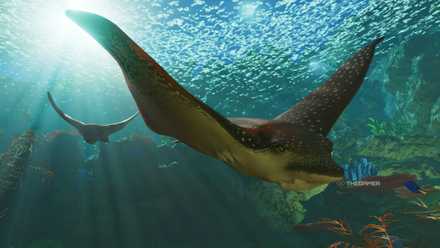 Spotted eagle ray on Planet Zoo 2.