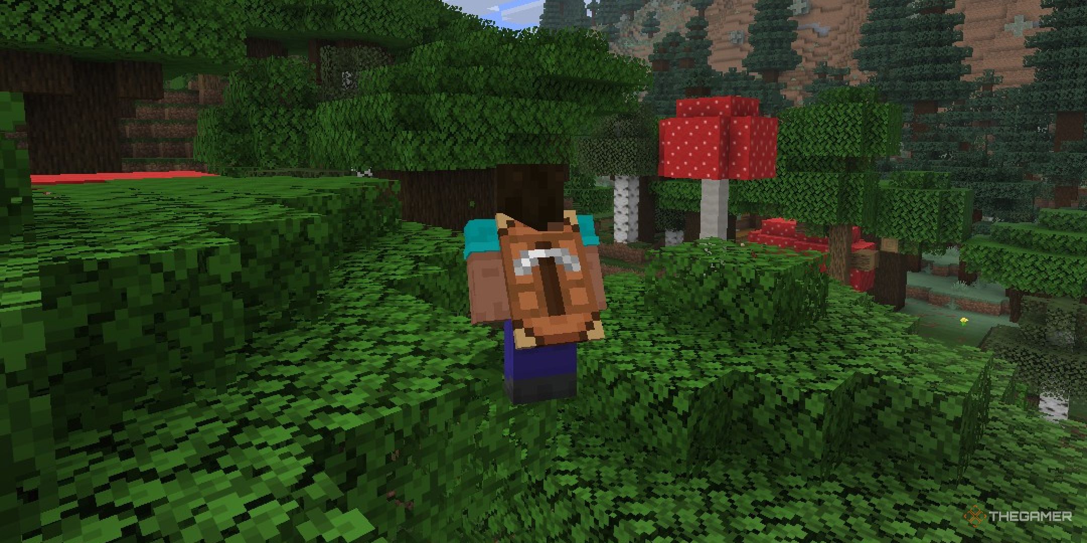 The Minecraft Crafter Cape from Twitch Con.
