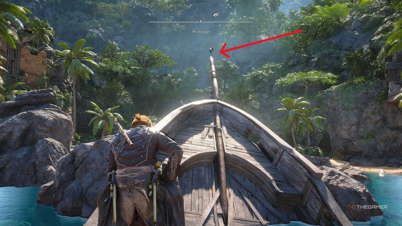 A player who obtains all the Principe collectibles in Assassin's Creed: Black Flag Resynced.