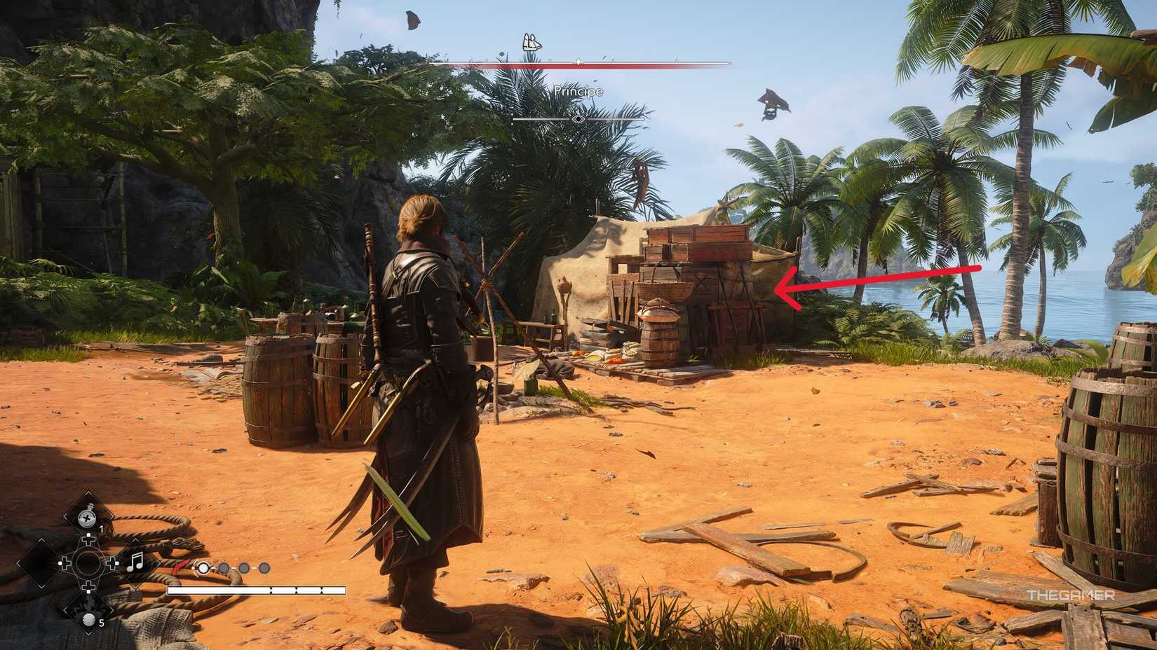 A player who obtains all the Principe collectibles in Assassin's Creed: Black Flag Resynced.