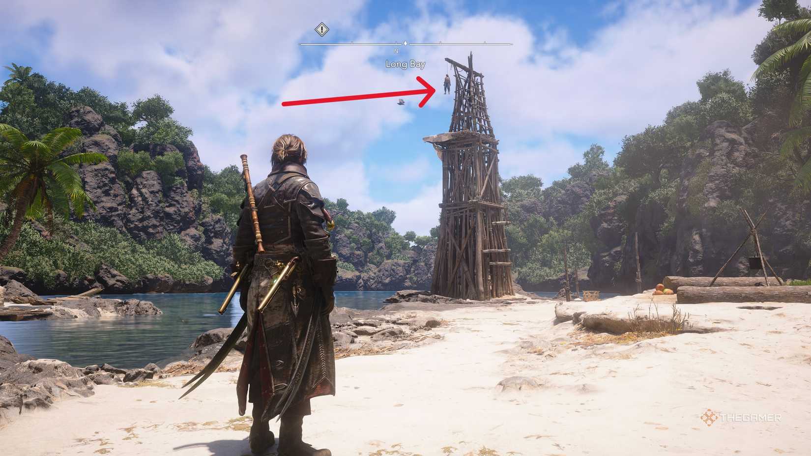 Players who have acquired all Long Bay collectibles in Assassin's Creed: Black Flag Resynced.