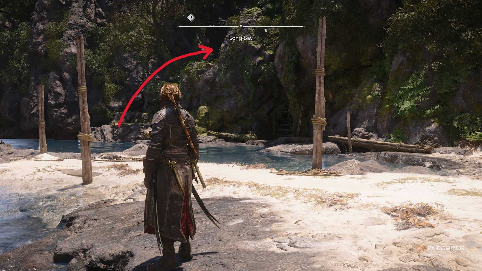 Players who have acquired all Long Bay collectibles in Assassin's Creed: Black Flag Resynced.