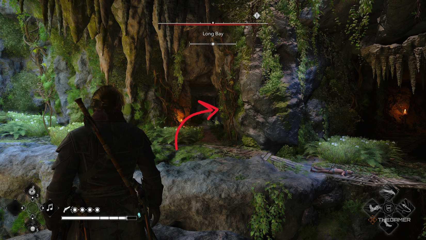 Players who have acquired all Long Bay collectibles in Assassin's Creed: Black Flag Resynced.