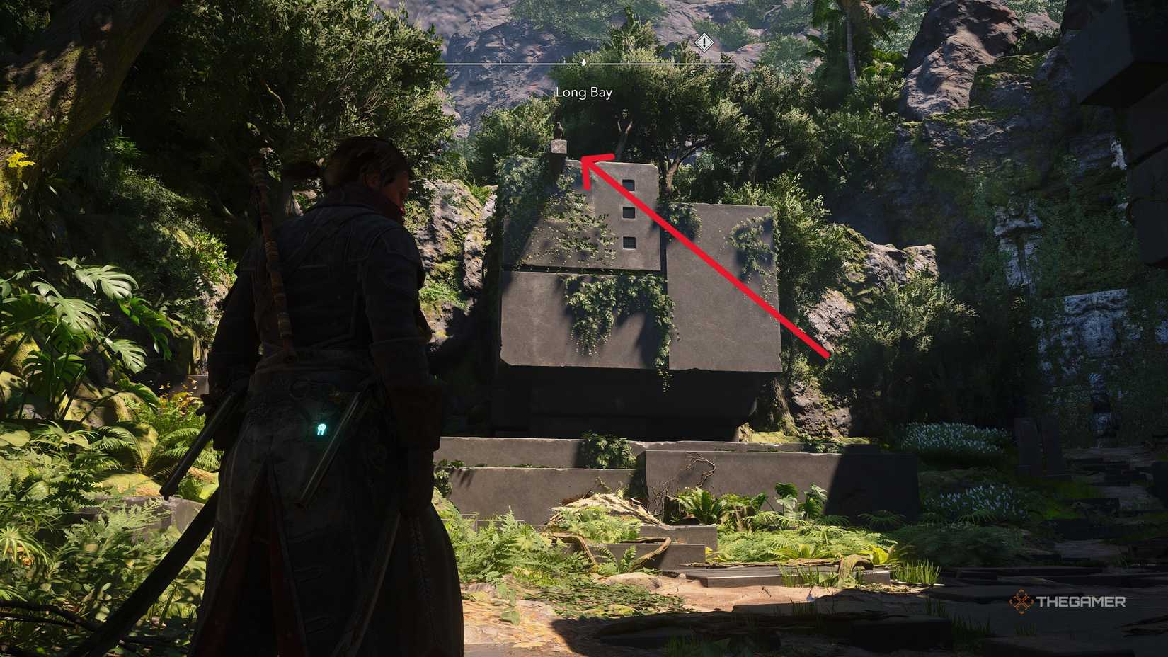 Players who have acquired all Long Bay collectibles in Assassin's Creed: Black Flag Resynced.