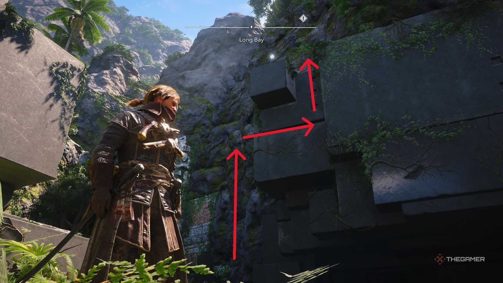 Players who have acquired all Long Bay collectibles in Assassin's Creed: Black Flag Resynced.