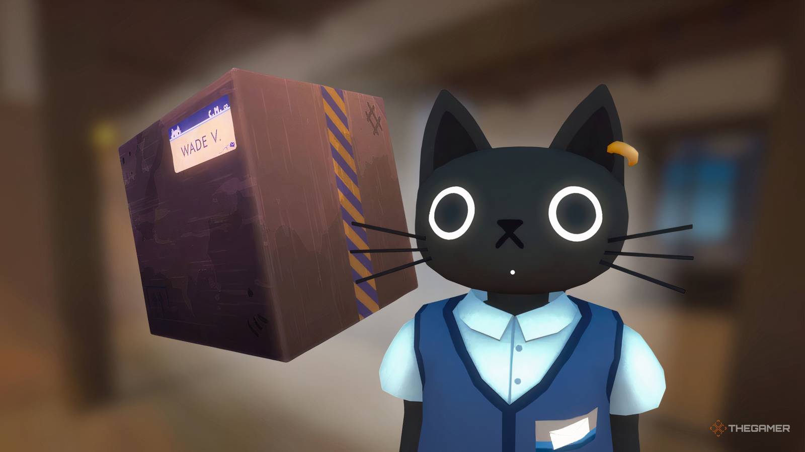 Cat next to a damaged package in Cat Mail Co.