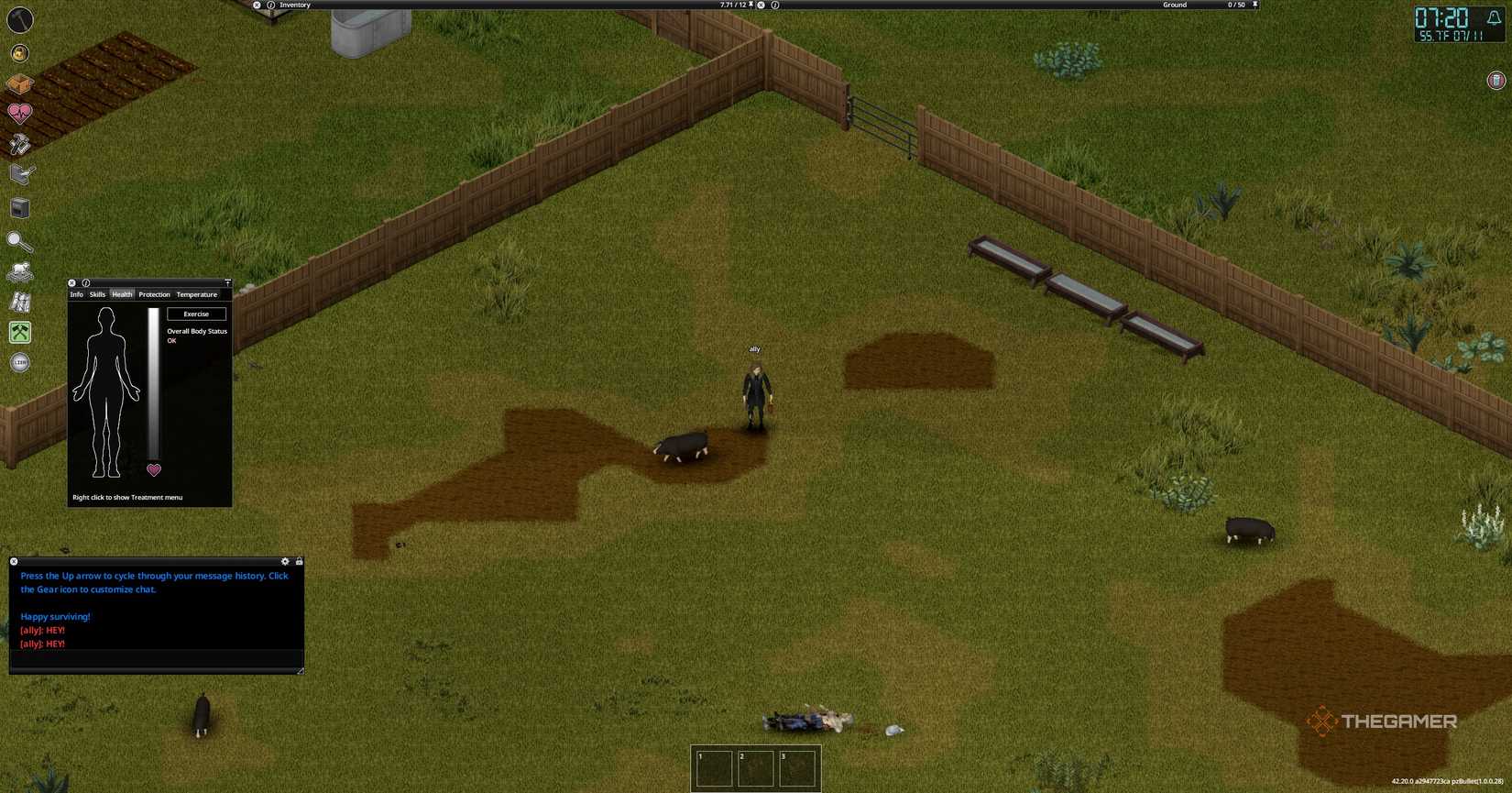Player with a pig in Project Zomboid.