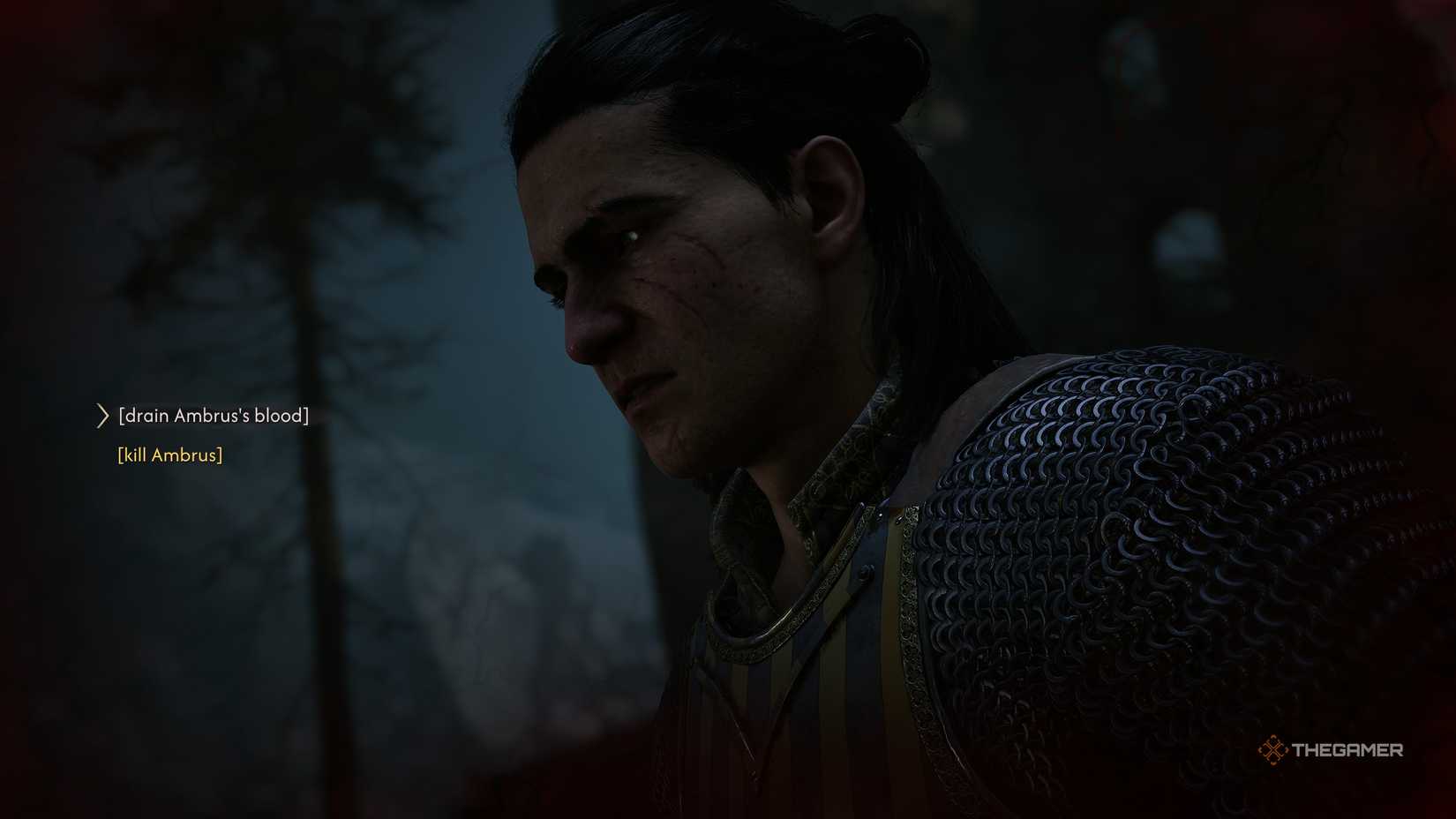 A player picking draining or killing Ambrus in The Blood of Dawnwalker.