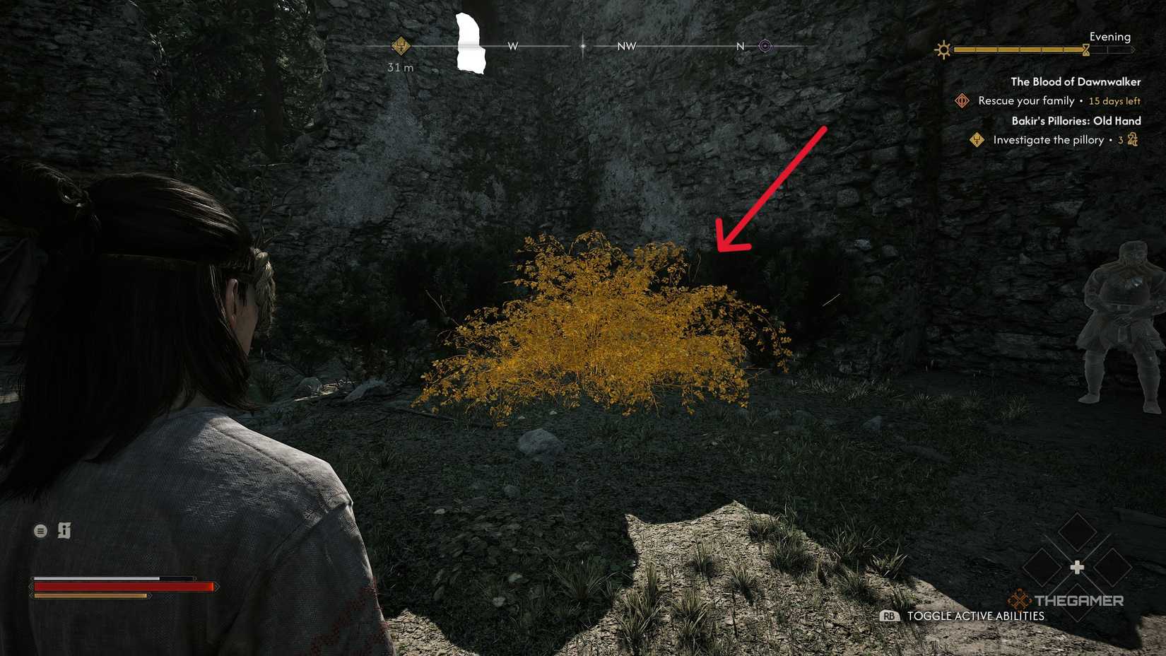 A player deciding to kill or drain Bakir in The Blood of Dawnwalker.