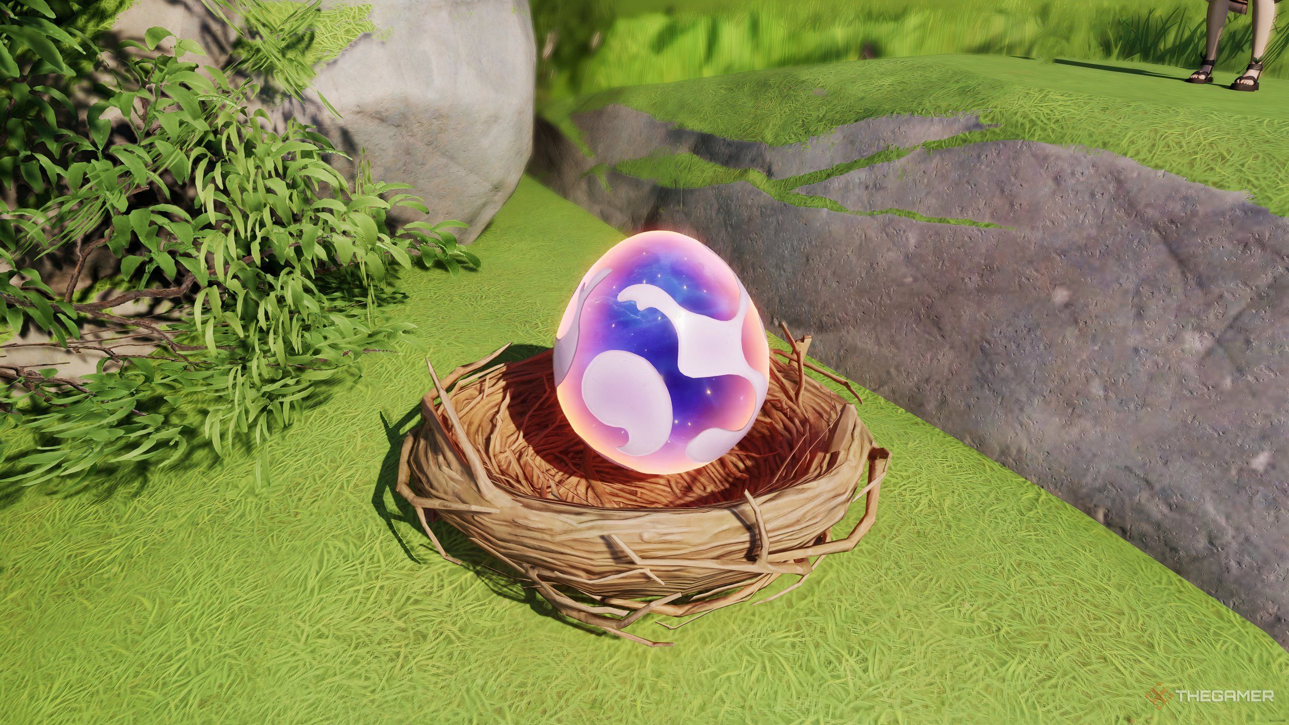 How To Find And Hatch Eggs In Aniimo