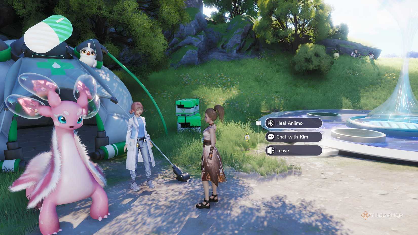 An Aniimo player is talking to Healer Kim NPC.