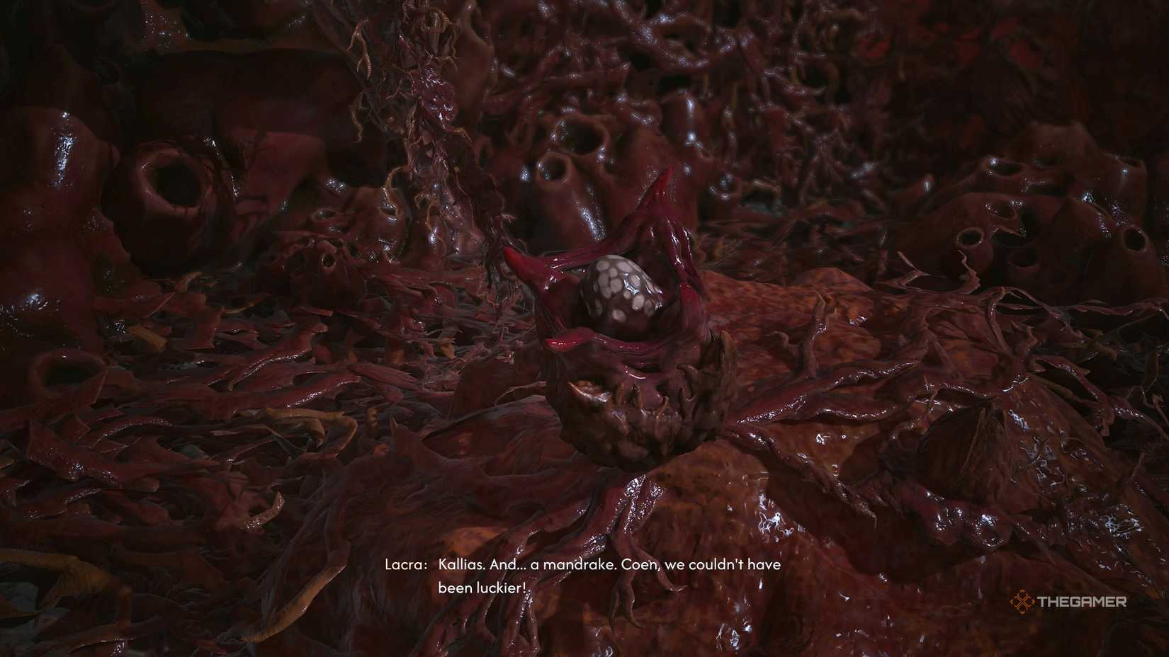A Mandrake in The Blood of Dawnwalker.