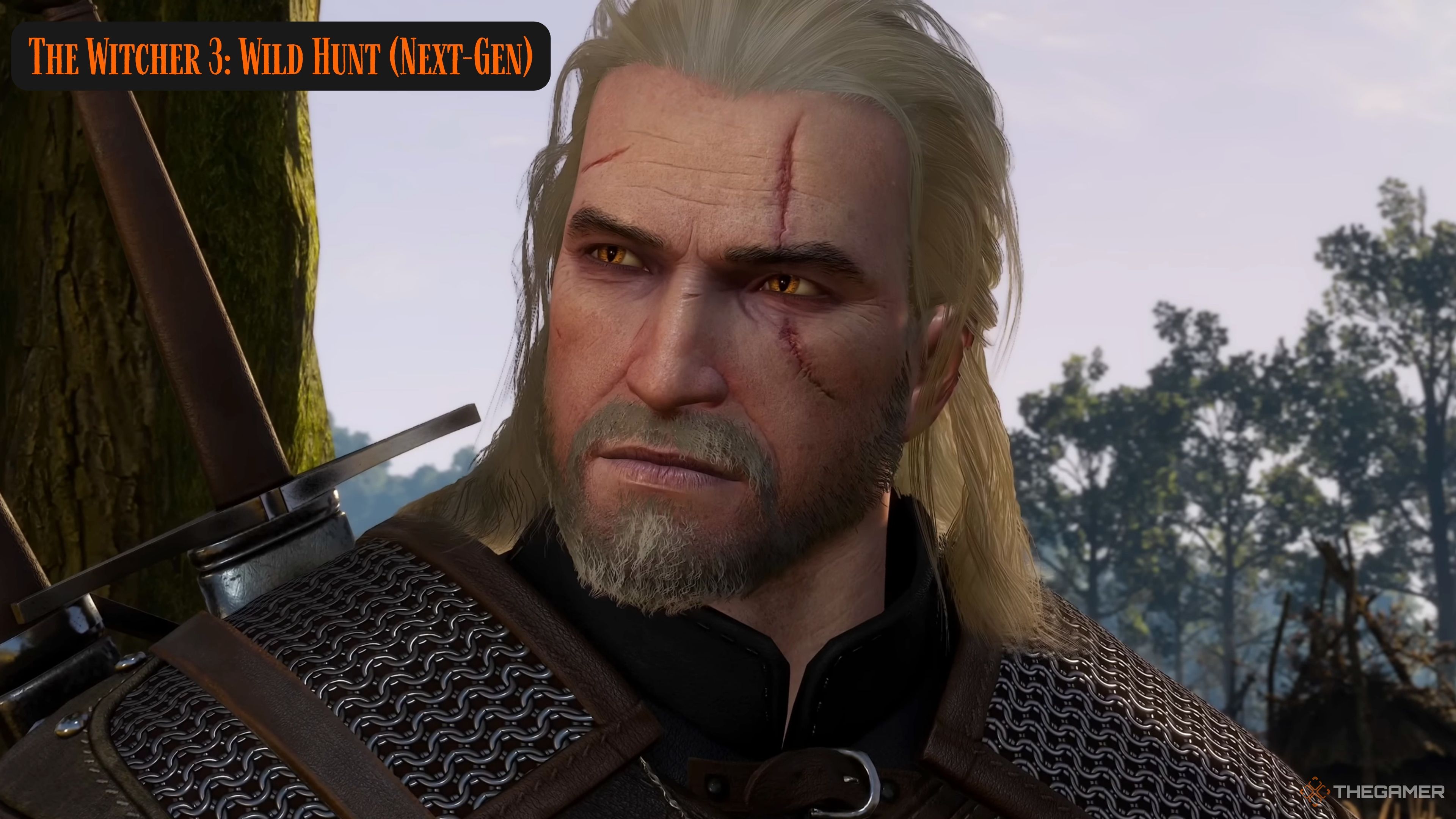 The Witcher 3 Wild Hunt Next Gen Closeup of Geralt