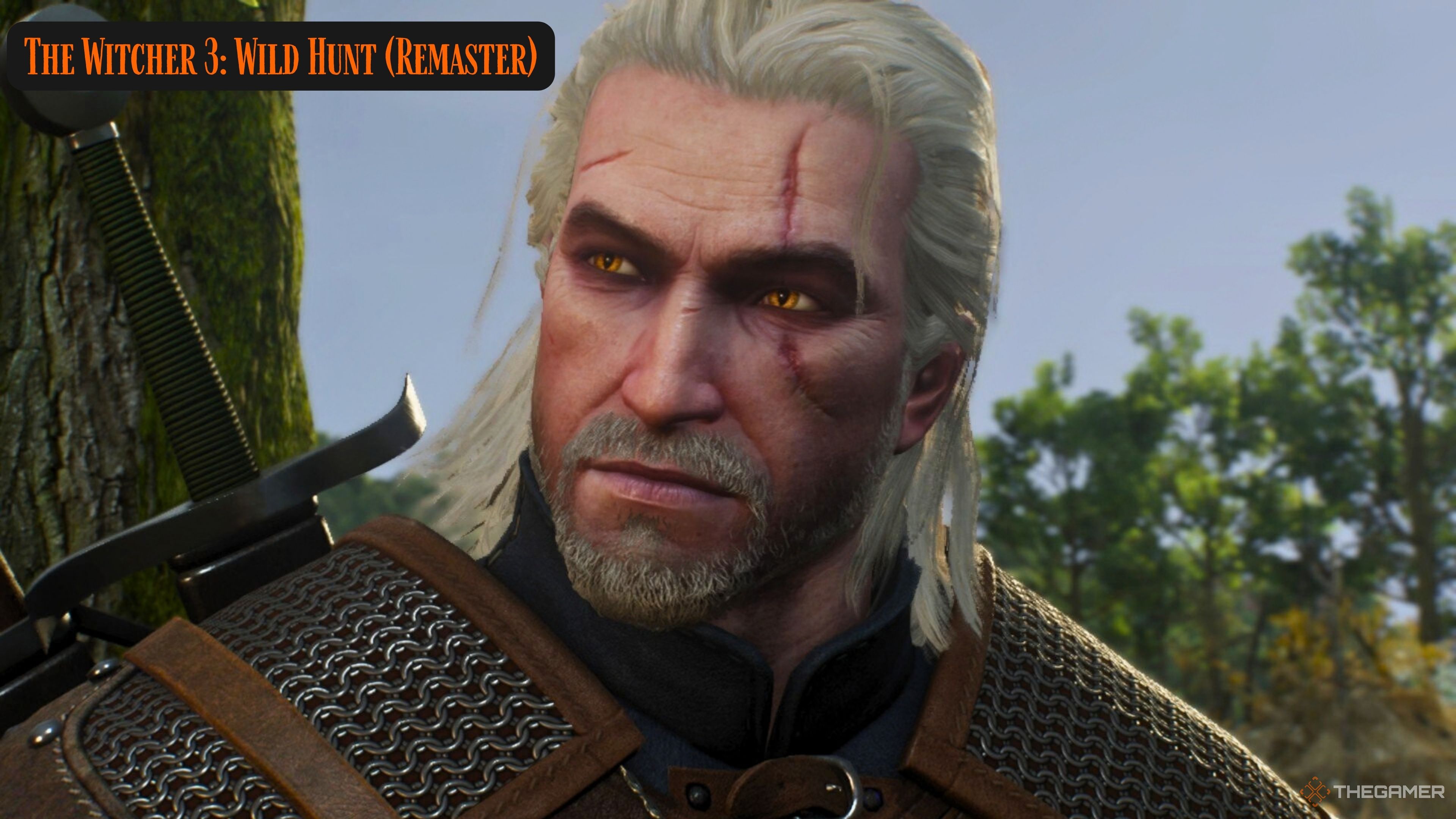The Witcher 3 Wild Hunt Remastered closeup of Geralt