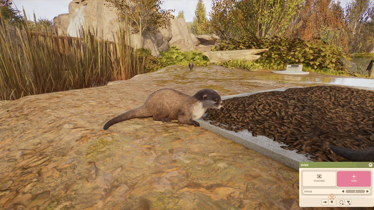 Planet Zoo 2 Is The Perfect Game For People Who Get Distracted By Animals