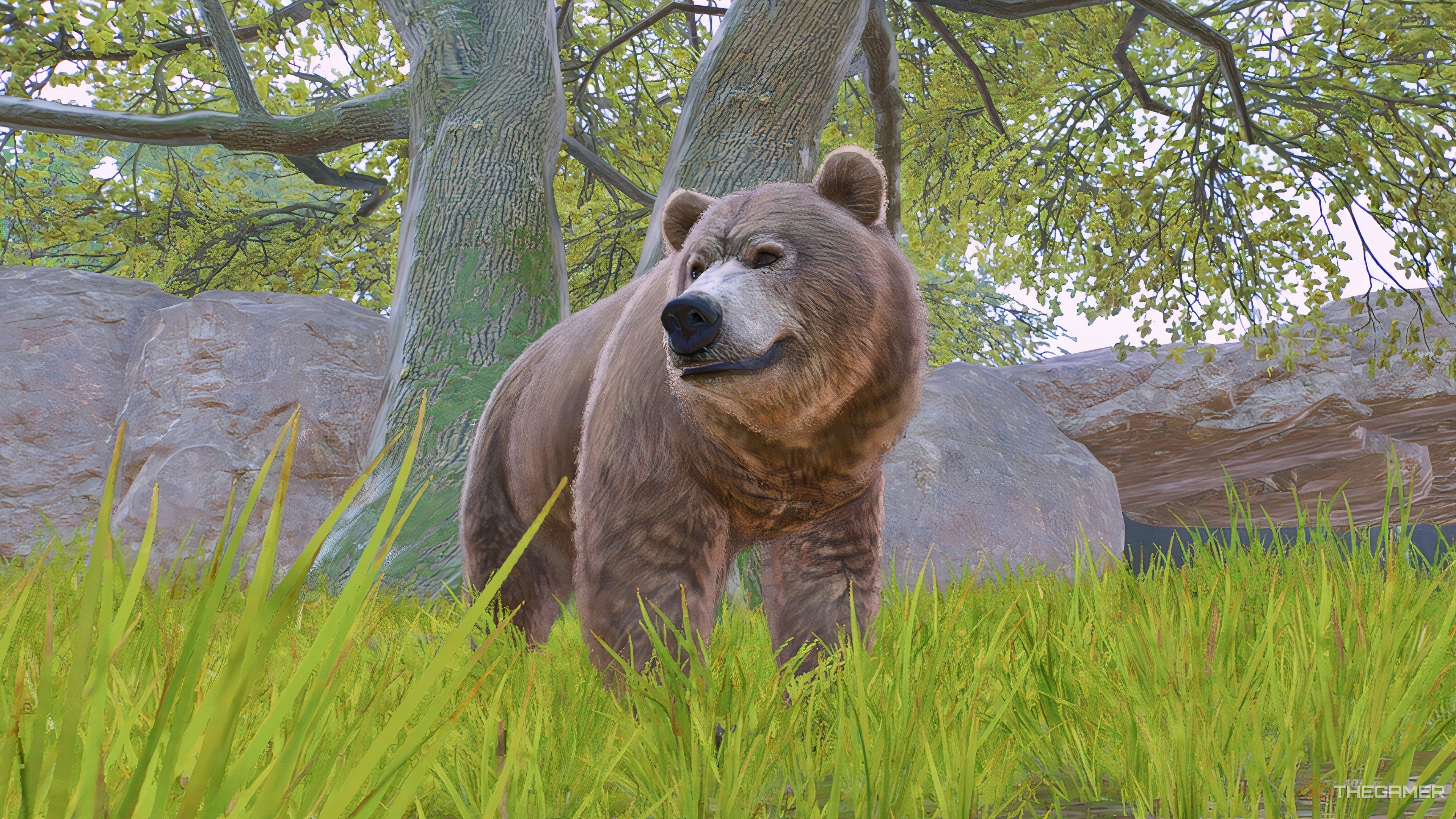 Planet Zoo 2 Deluxe Edition: Is It Worth Buying? [Guide]