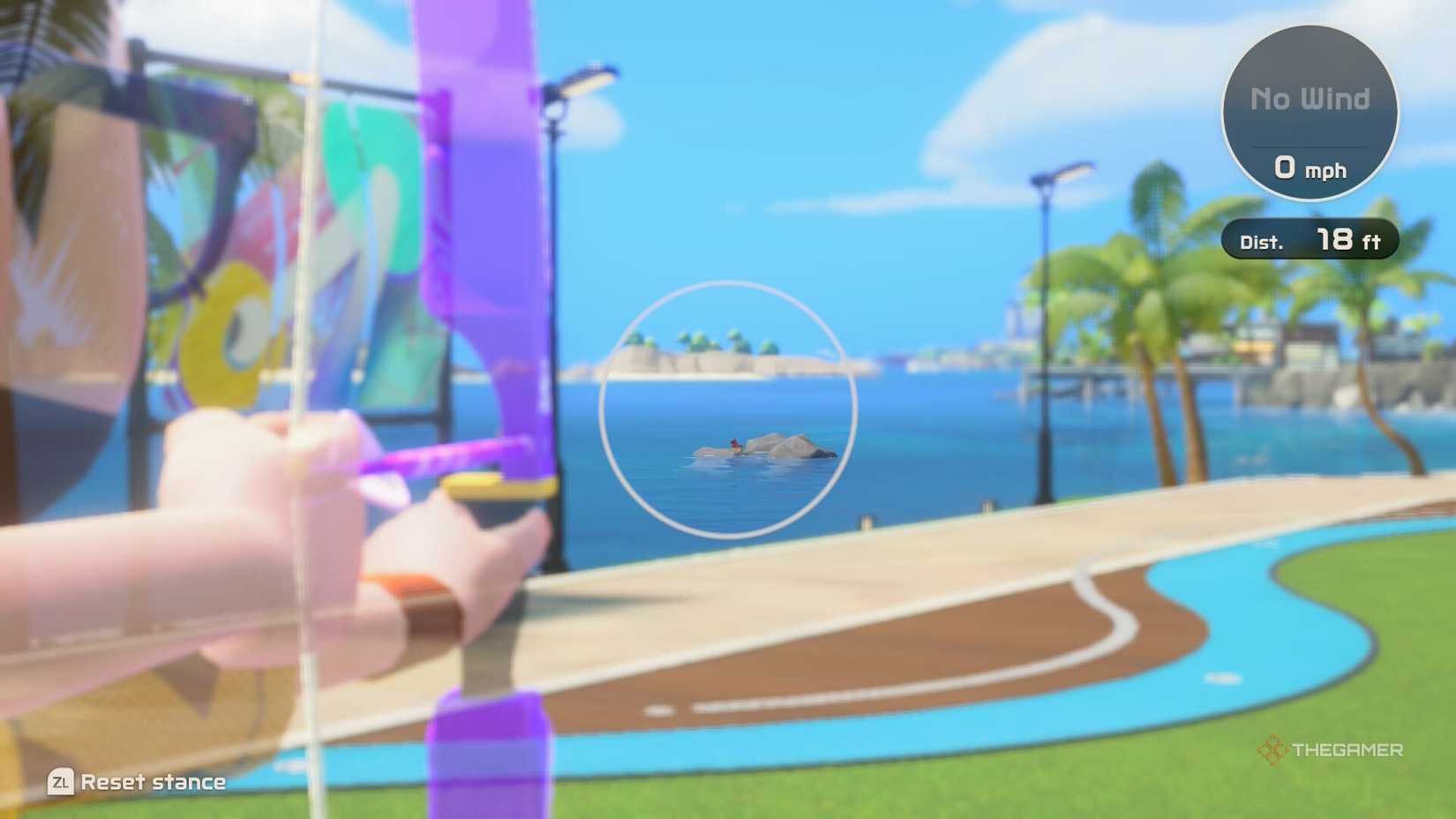 aiming at a secret pinata in switch sports resort.