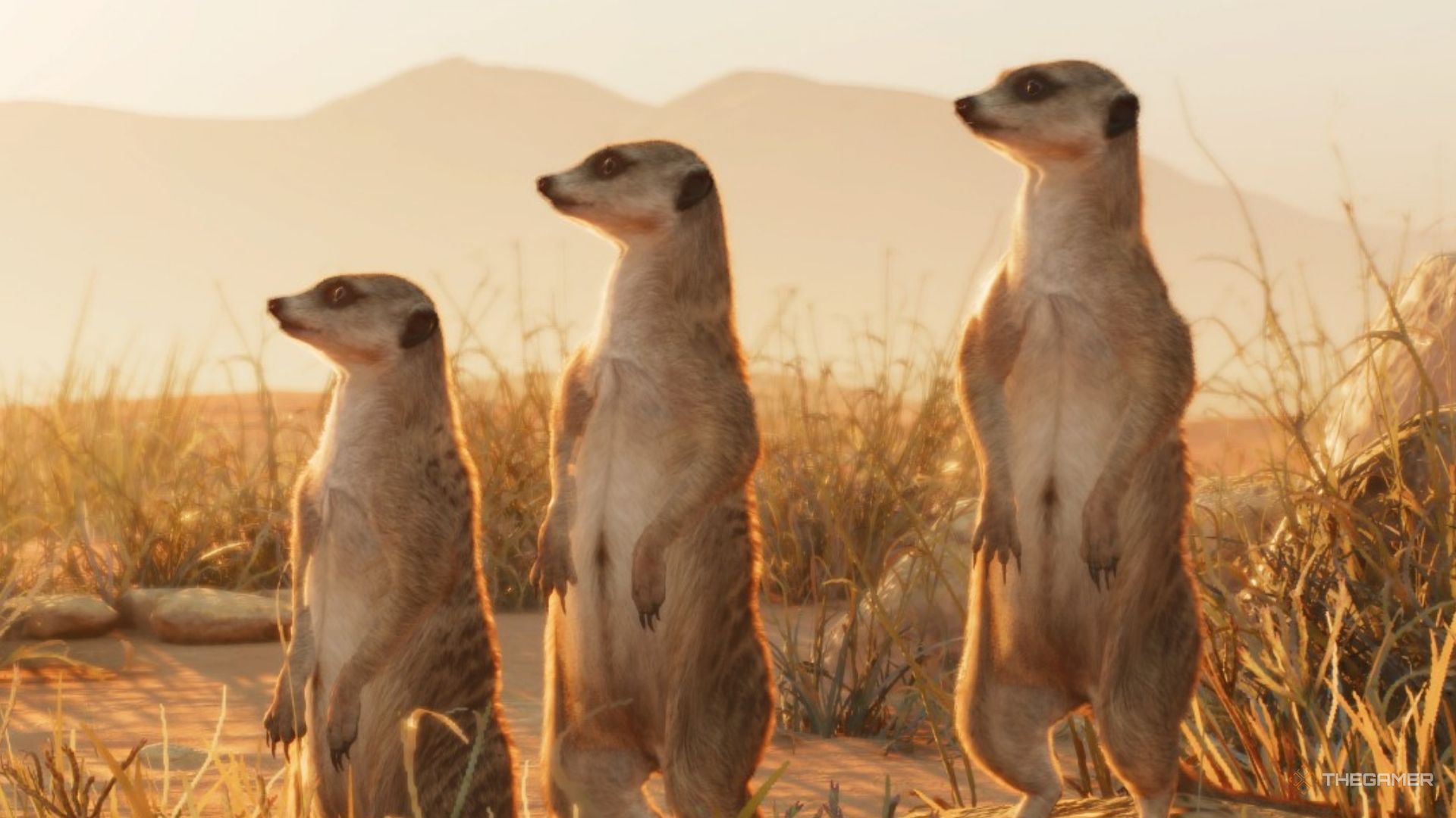 Prairie dogs standing in Planet Zoo 2.